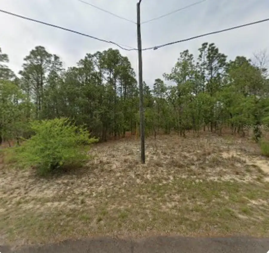 2225 W Linden Drive, Citrus Springs, FL 34434 - Image #2