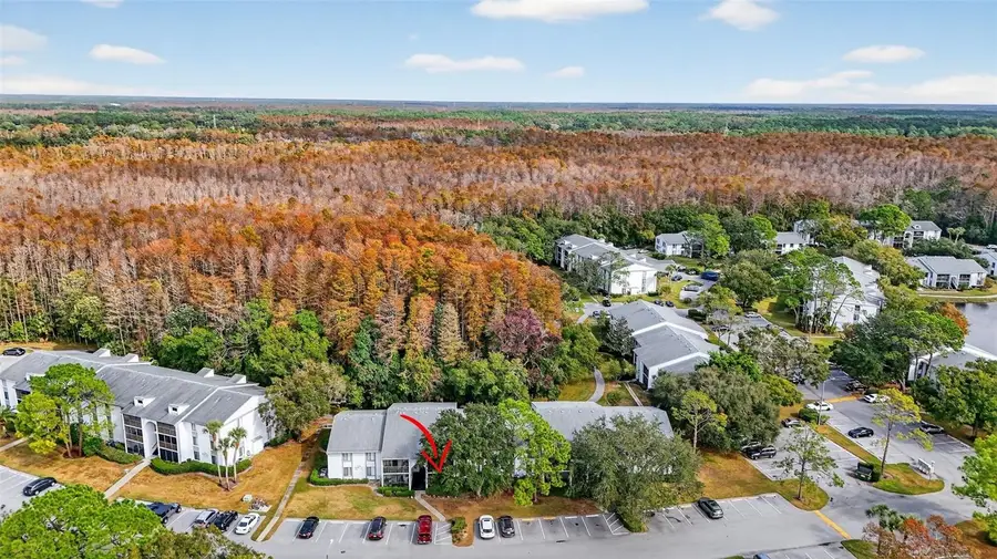 1258 Pine Ridge Circle W #D1, Tarpon Springs, FL 34688 - Image #2