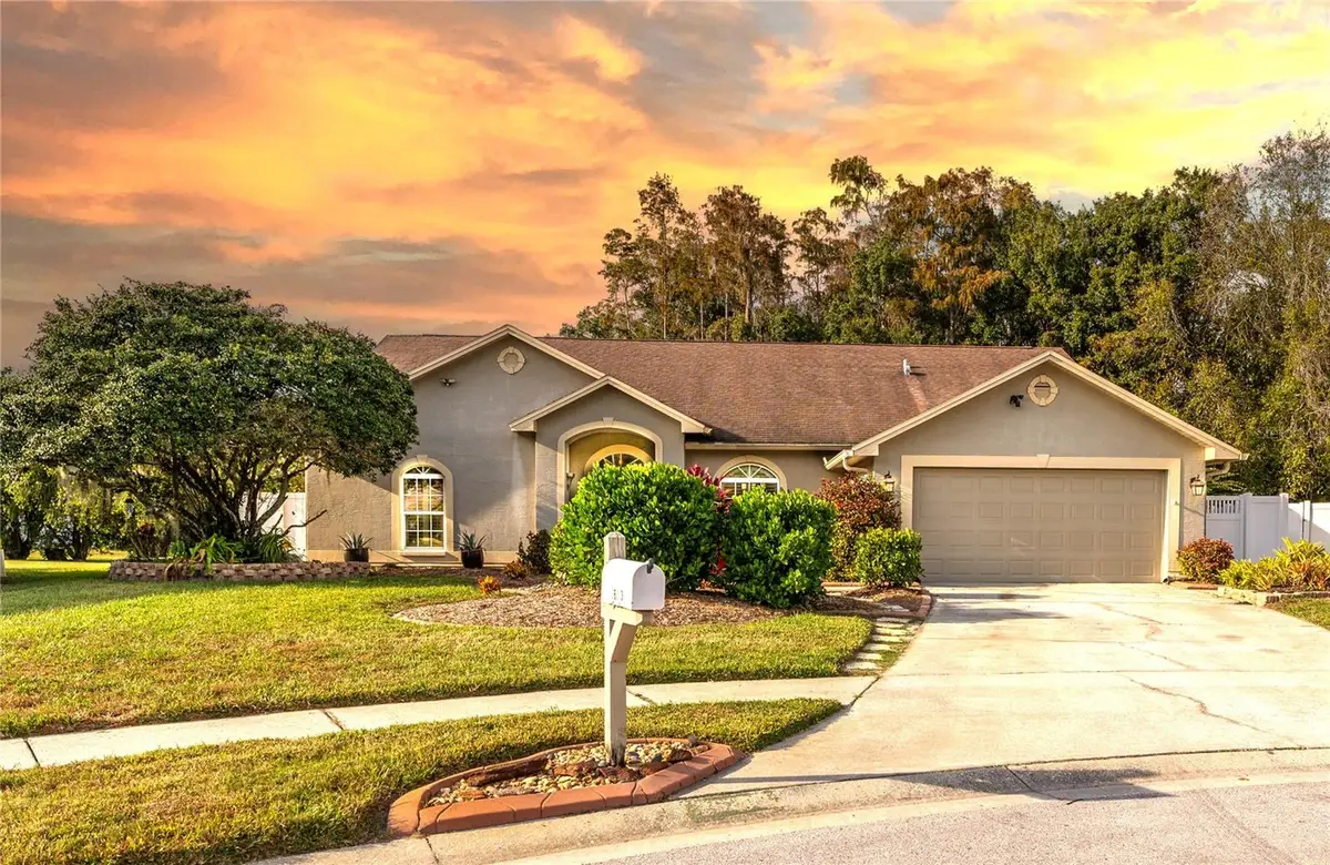 26203 Corkwood Court, Land O Lakes, FL 34639 - Image #1