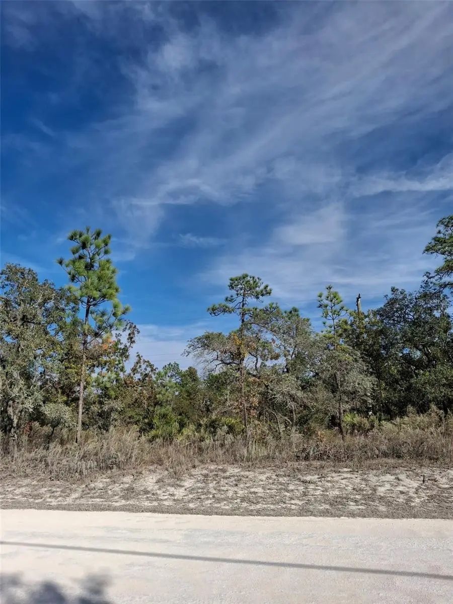 15176 Gonzo Road, Weeki Wachee, FL 34614 - Image #3