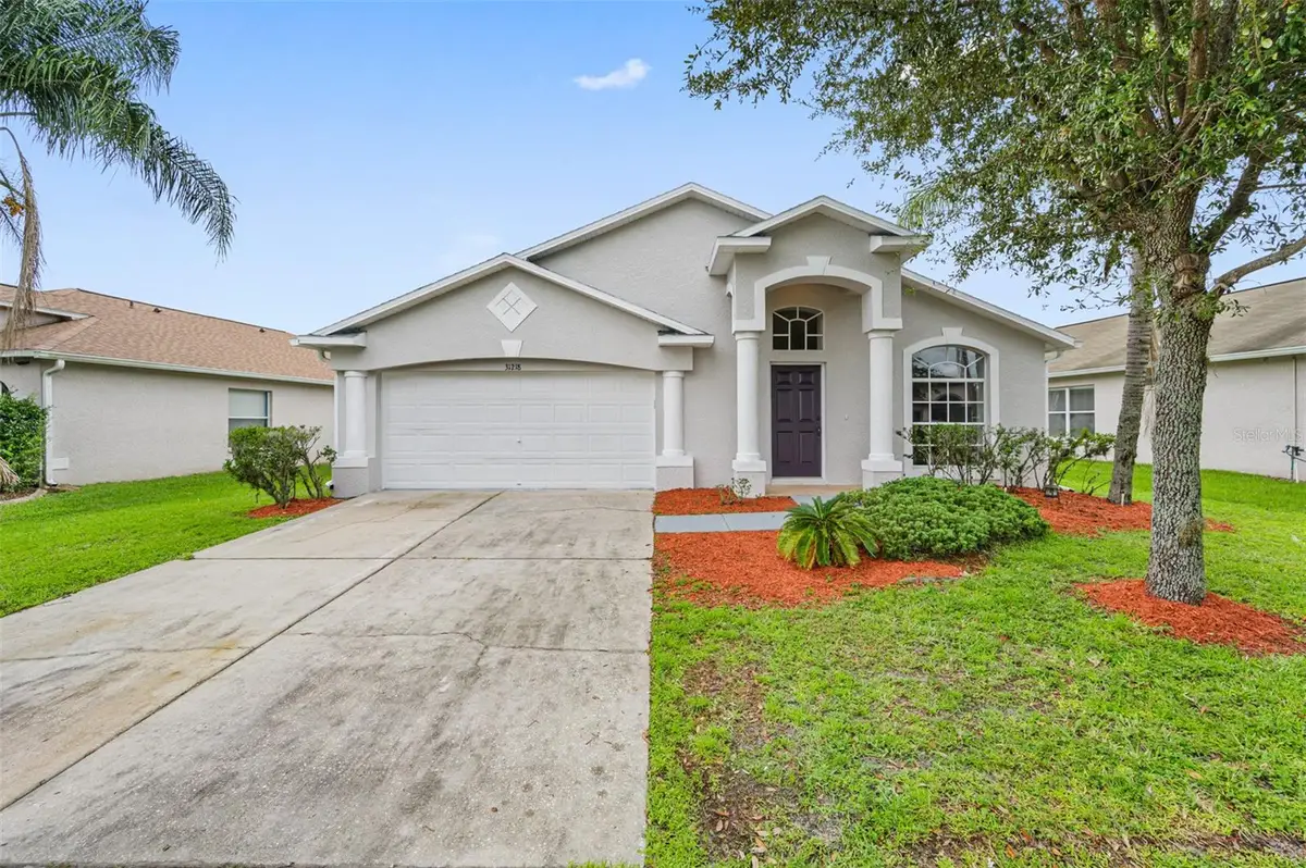 31218 Baclan Drive, Wesley Chapel, FL 33545 - Image #1