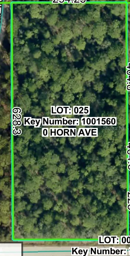 0 Horn Avenue, Brooksville, FL 34613 - Image #2