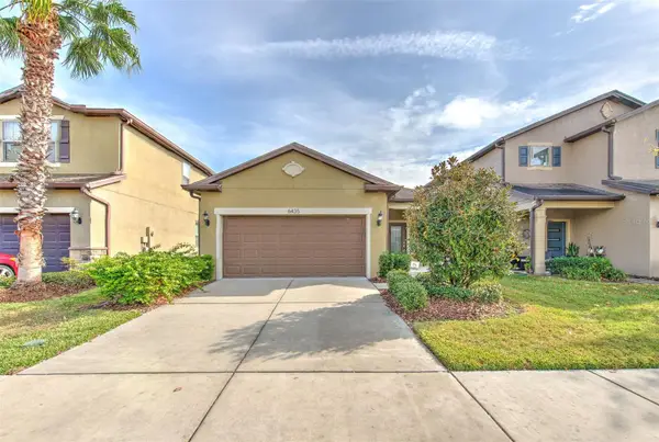6435 Yellow Buckeye Drive, RIVERVIEW, FL 33578