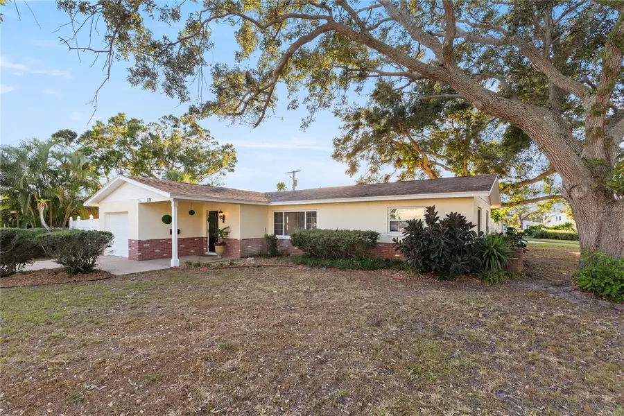 226 75th Street N, Saint Petersburg, FL 33710 - Image #3