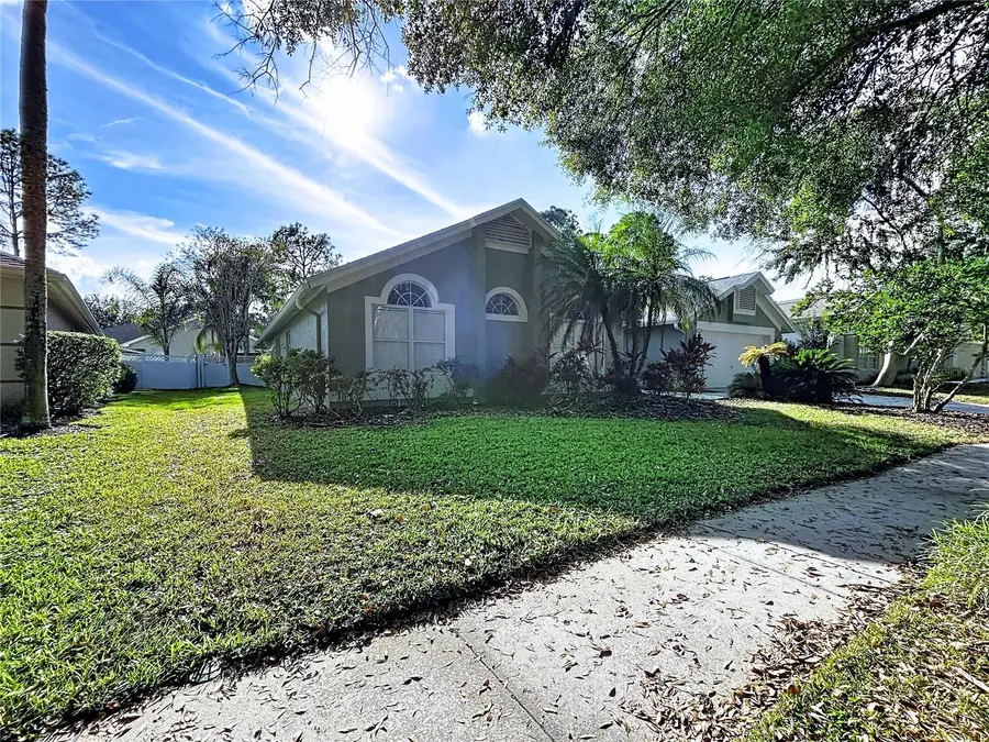17307 Lockwood Ridge Drive, Tampa, FL 33647 - Image #3