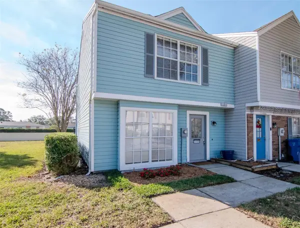 16139 Rambling Vine Drive E, TAMPA, FL 33624