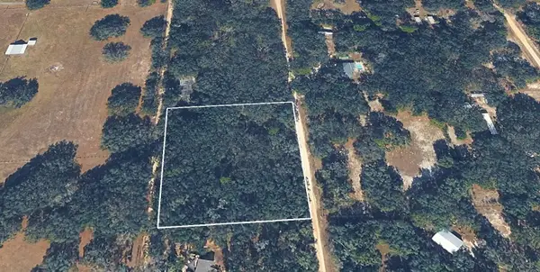 8856 N Himalayas Point, DUNNELLON, FL 34433