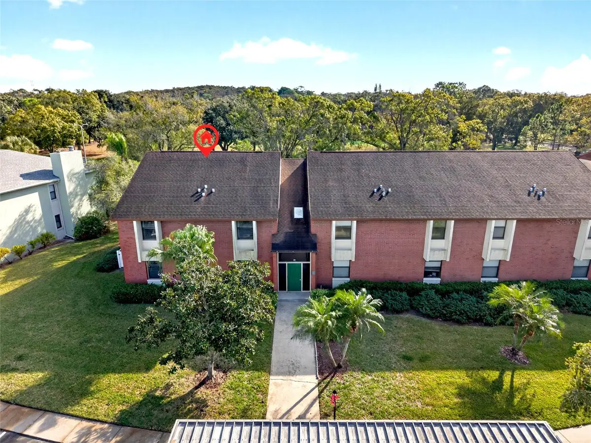 214 Caryl Way, Oldsmar, FL 34677 - Image #1