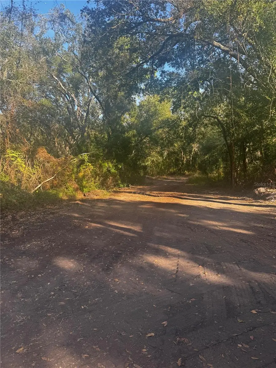 11-20 Anno, Tampa, FL 33625 - Image #2