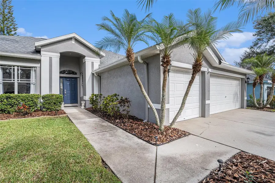 2846 Duncan Tree Circle, Valrico, FL 33594 - Image #2