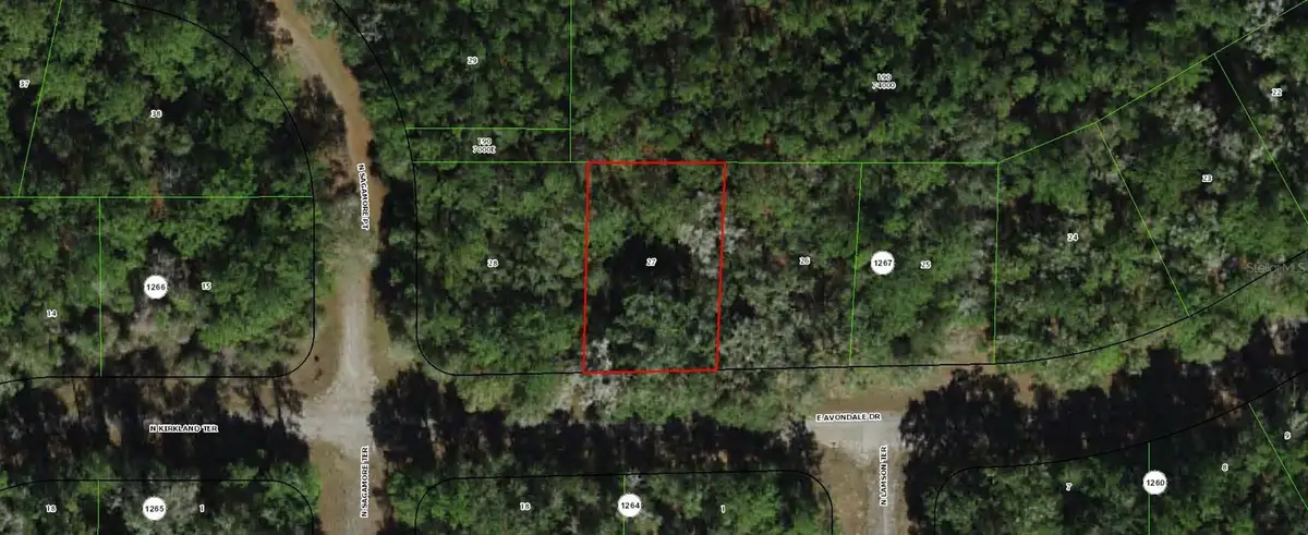 373 E Avondale Drive, Dunnellon, FL 34434 - Image #1
