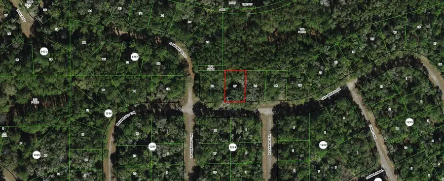 373 E Avondale Drive, Dunnellon, FL 34434 - Image #2