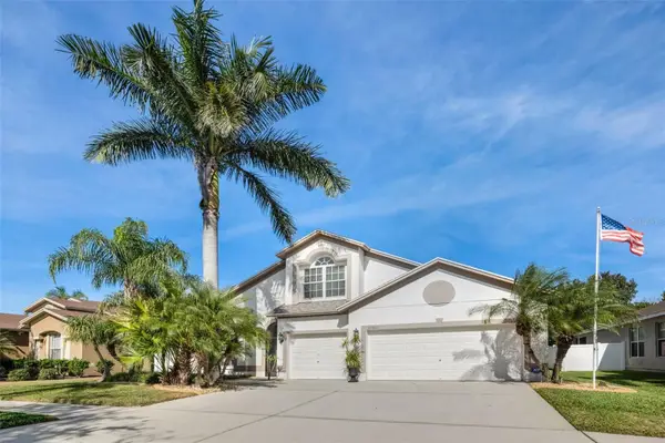 11011 Rockledge View Dr., RIVERVIEW, FL 33579