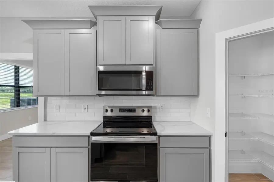 13444 Lake Gallagher Drive, Dover, FL 33527 - Image #2