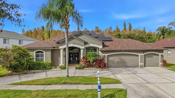 4309 Waterford Landing Drive, LUTZ, FL 33558