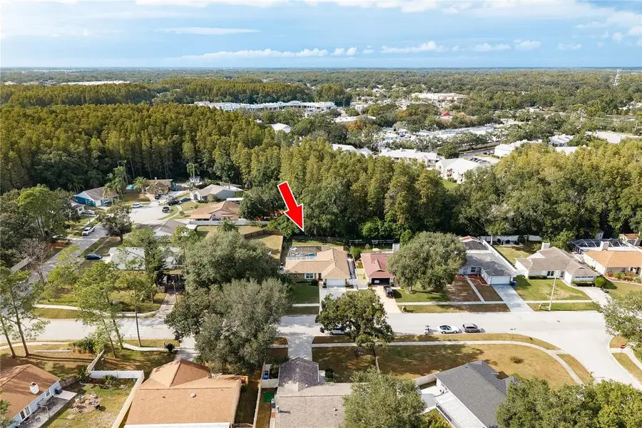 12406 Forest Lane Drive, Tampa, FL 33624 - Image #2