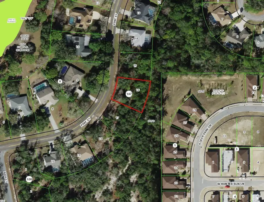 151 Pine Street, Homosassa, FL 34446 - Image #2