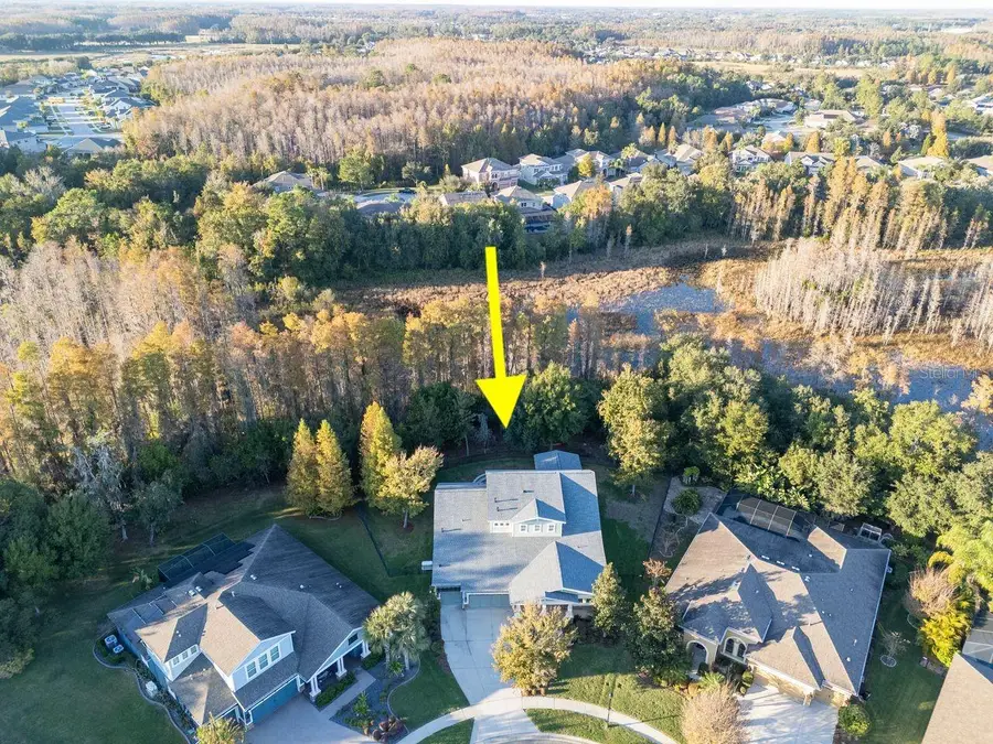 19331 Ranchview Court, Land O Lakes, FL 34638 - Image #3