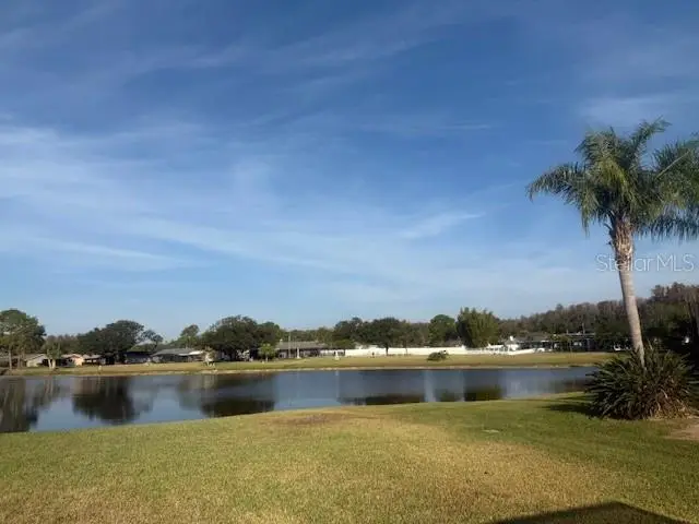 440 Lakeview Drive, Oldsmar, FL 34677 - Image #3