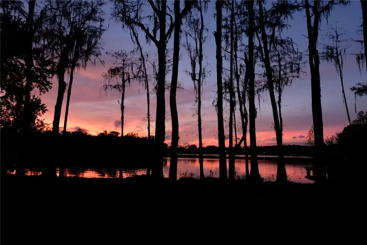 16308 Rock Lake Drive, Odessa, FL 33556 - Image #1