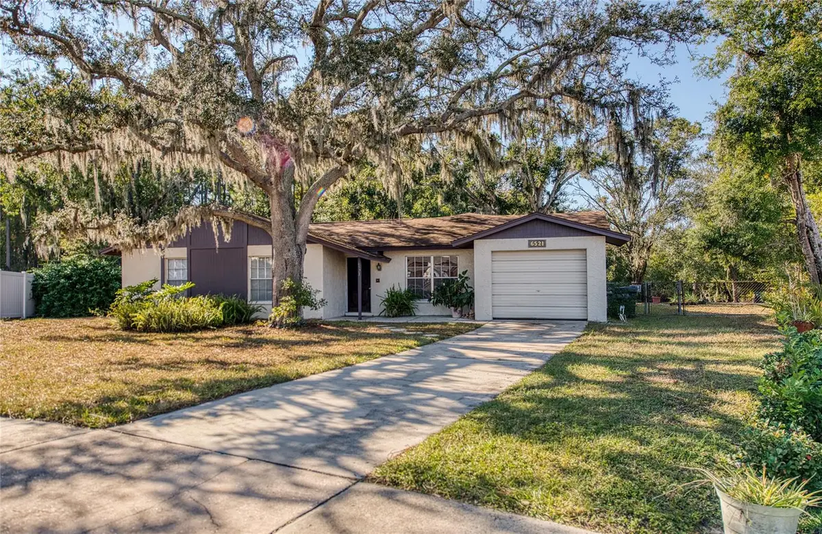 6521 Secrest Court, Tampa, FL 33625 - Image #1