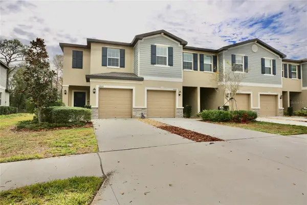 17620 Nectar Flume Drive, LAND O LAKES, FL 34638
