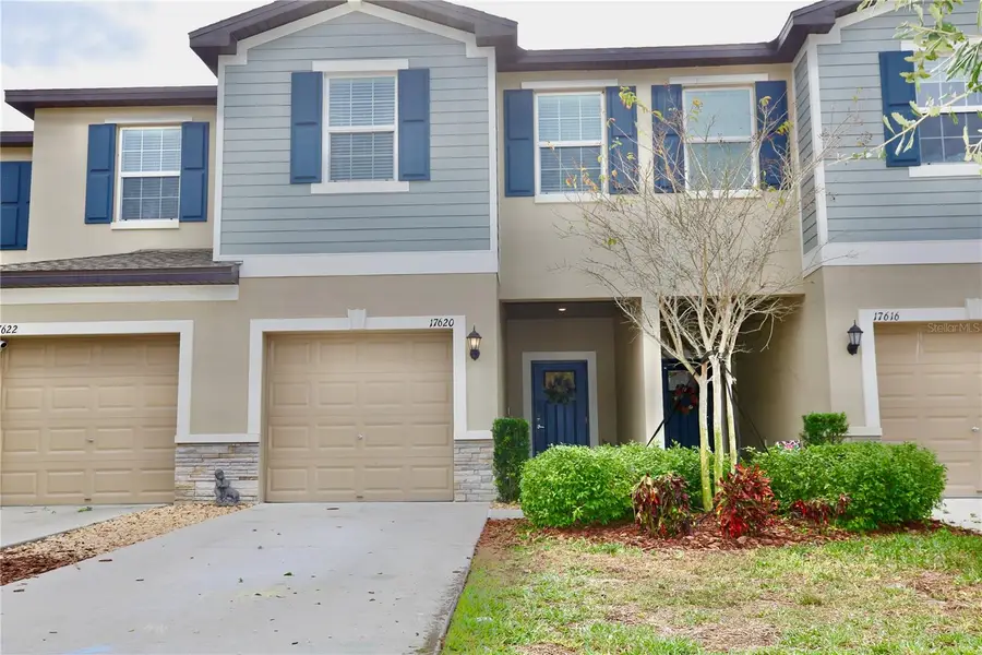 17620 Nectar Flume Drive, Land O Lakes, FL 34638 - Image #2