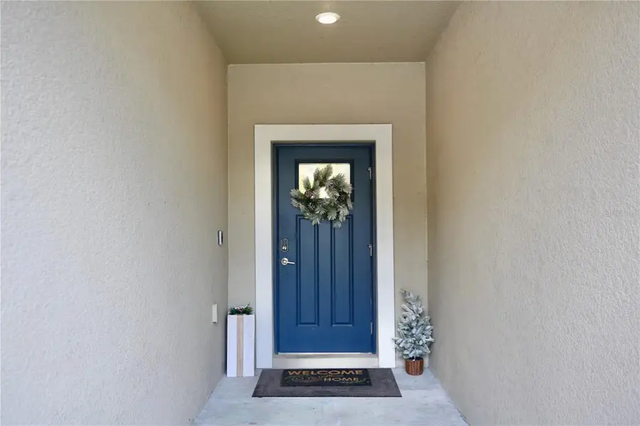 17620 Nectar Flume Drive, Land O Lakes, FL 34638 - Image #3