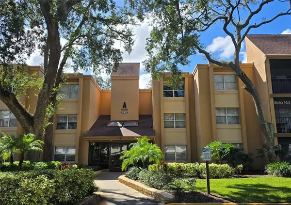 4411 Shady Terrace Lane #302, TAMPA, FL 33613