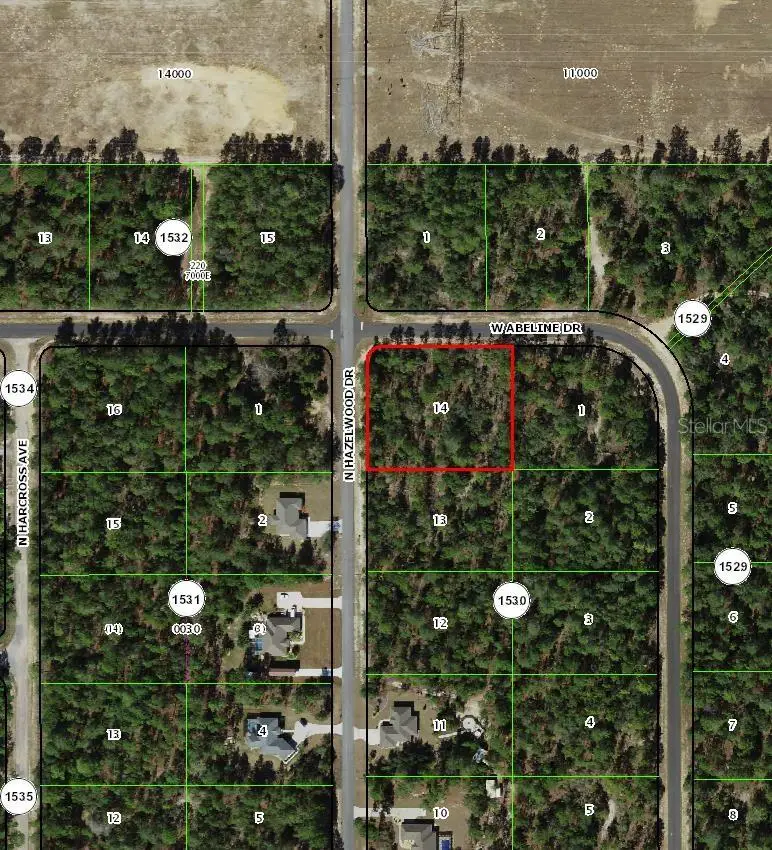 6777 N Hazelwood Drive, Citrus Springs, FL 34433 - Image #2