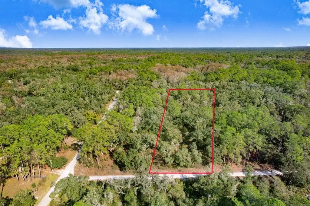 7292 Sonia Avenue, Webster, FL 33597 - Image #1