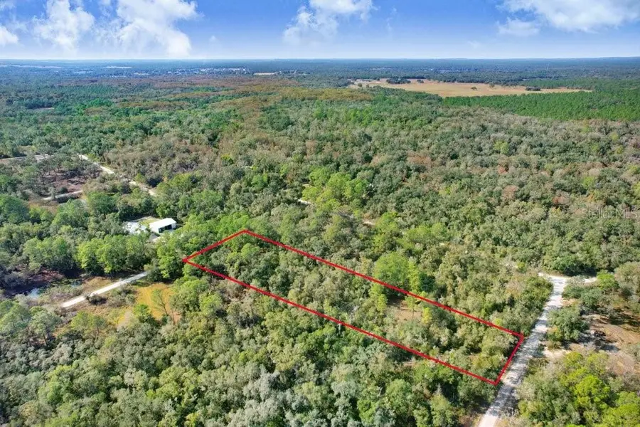 7292 Sonia Avenue, Webster, FL 33597 - Image #3