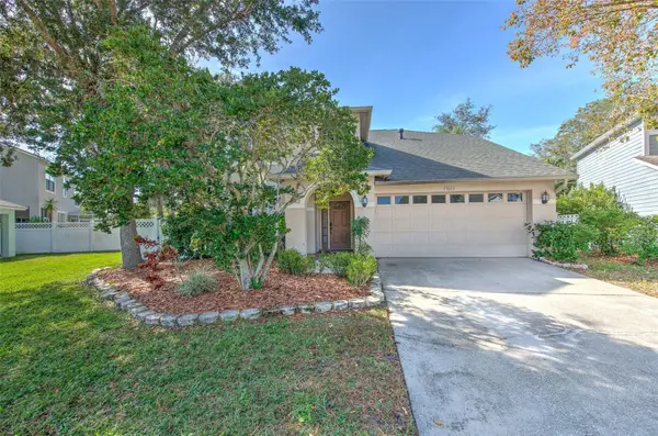 9205 Celebration Court, TAMPA, FL 33647