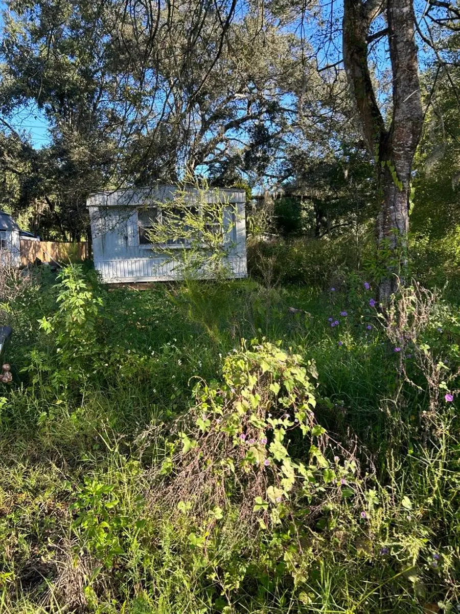 39249 Lizabeth Circle, Zephyrhills, FL 33542 - Image #1