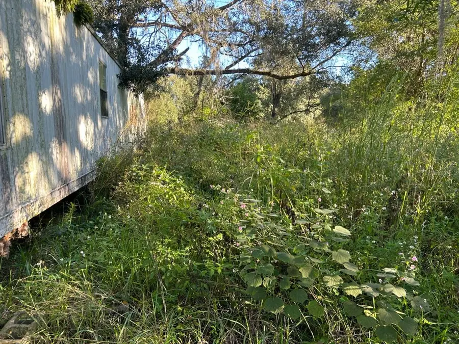 39249 Lizabeth Circle, Zephyrhills, FL 33542 - Image #3