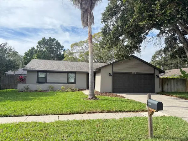 1431 Noell Boulevard, PALM HARBOR, FL 34683