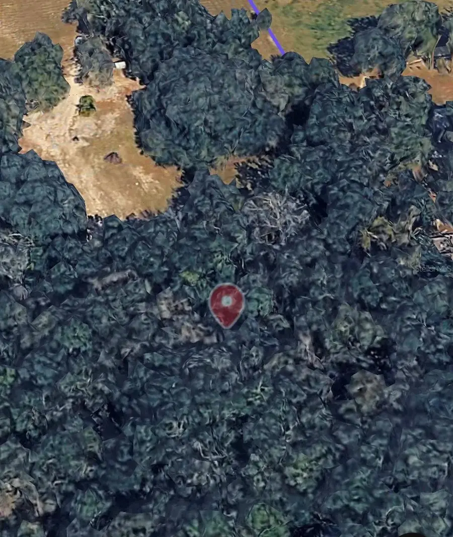 18016 SW 191st Avenue, Archer, FL 32618 - Image #2