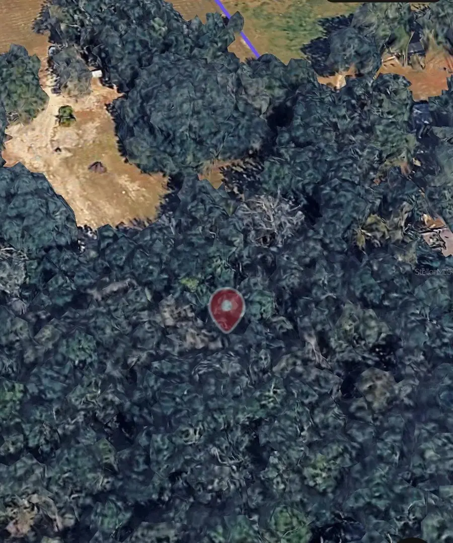 18016 SW 191st Avenue, Archer, FL 32618 - Image #3