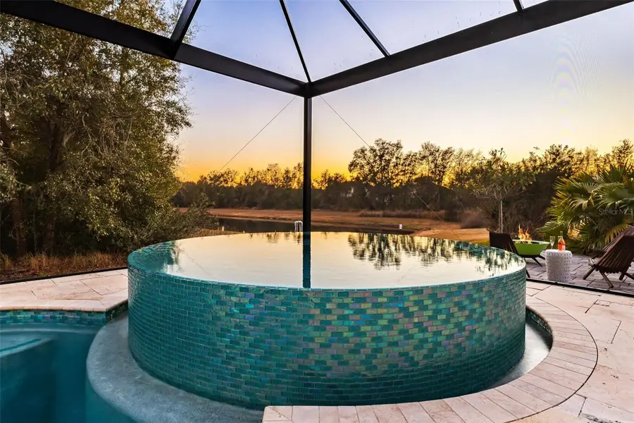 30801 Parrot Reef, Wesley Chapel, FL 33545 - #2