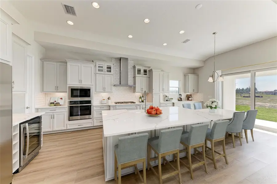 35564 Big Hawk Drive, Zephyrhills, FL 33541 - Image #2