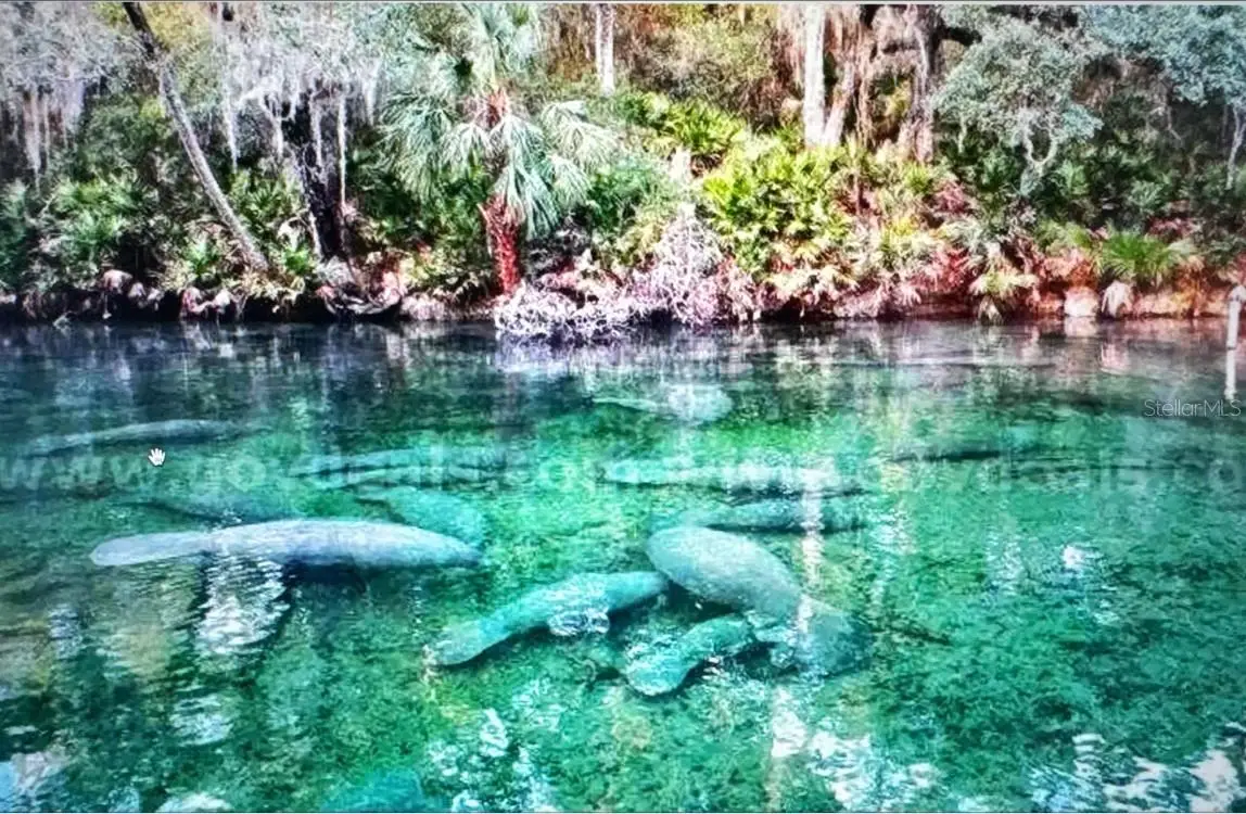 1 Werley Trail, Deland, FL 32720 - Image #1