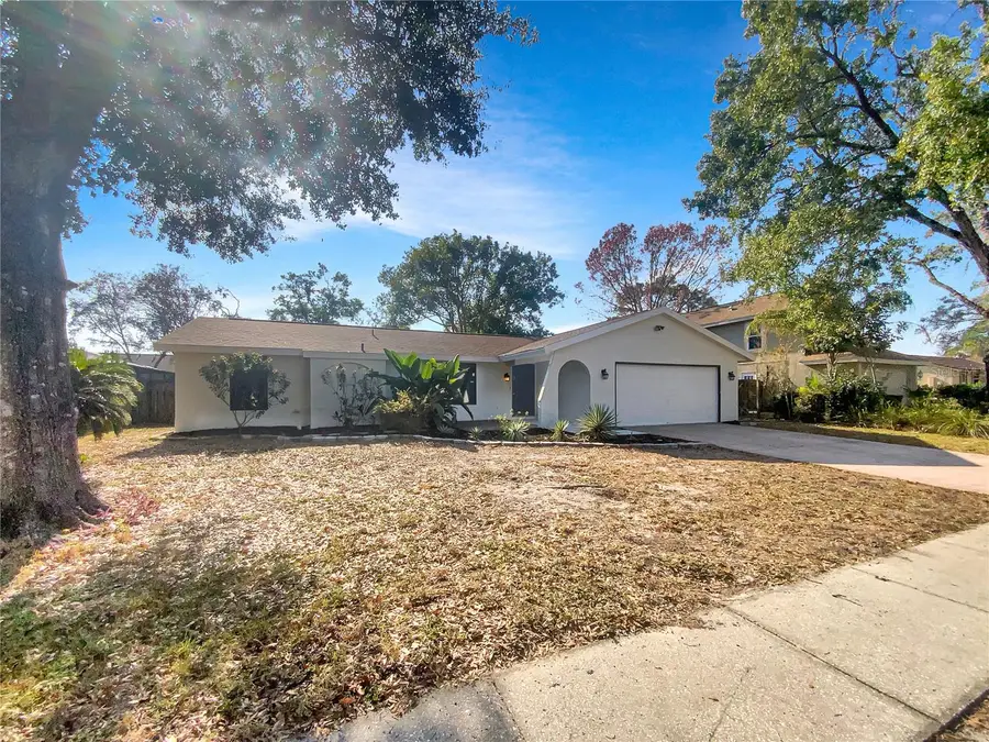 10328 Turkey Oak Drive, New Port Richey, FL 34654 - Image #3