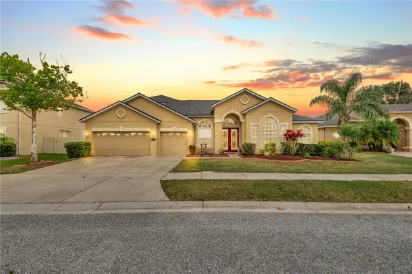 20330 Natures Corner Drive, TAMPA, FL 33647