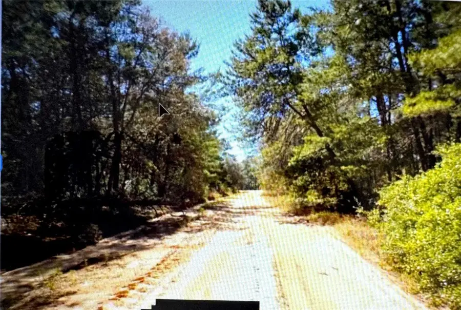 Old Bellamy Trail, Melrose, FL 32666 - Image #3