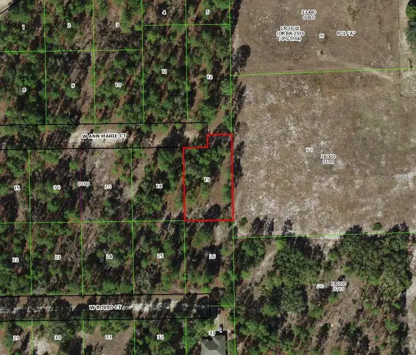 6020 W Ann Marie Court, DUNNELLON, FL 34433