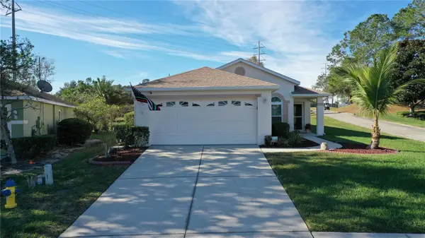 3021 Banyan Hill Lane, LAND O LAKES, FL 34639