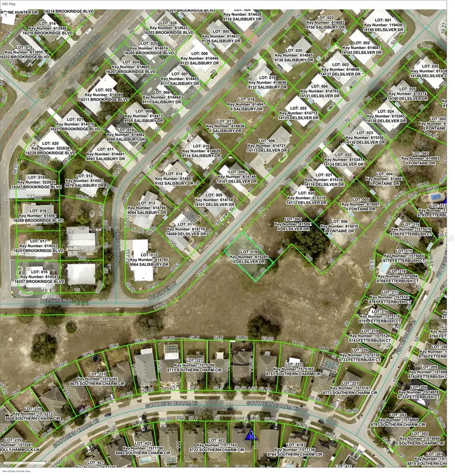 14094 Delsilver Drive, Brooksville, FL 34613 - Image #2