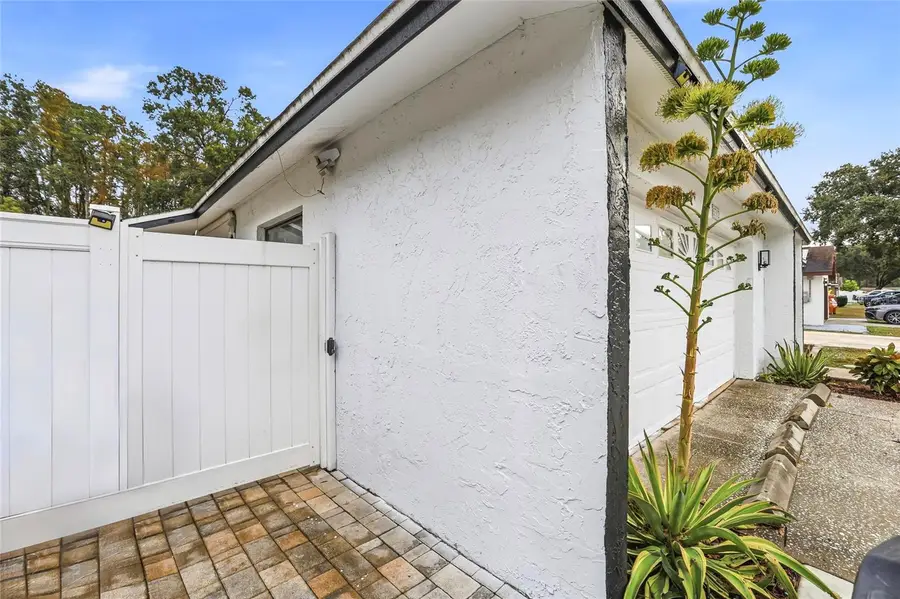 5312 Black Pine Drive, Tampa, FL 33624 - Image #3