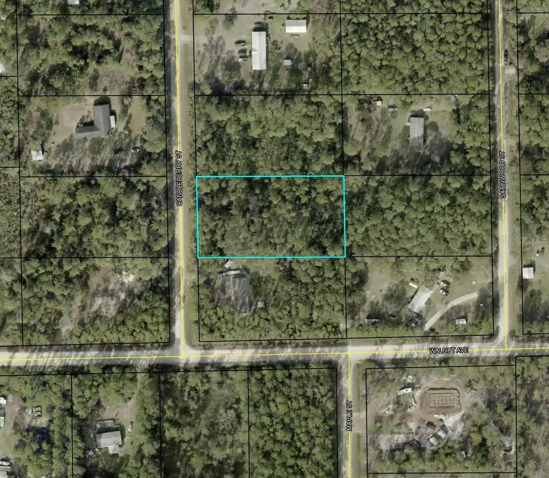 1935 Candleberry Street, Bunnell, FL 32110 - Image #1
