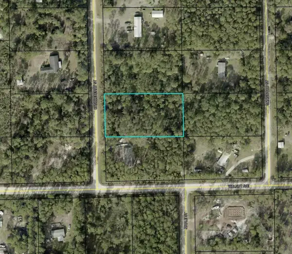 1935 Candleberry Street, BUNNELL, FL 32110